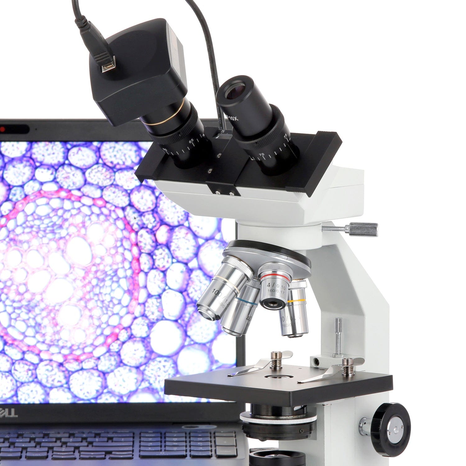 amscope-b100-durchlichtmikroskop-binokular-40x-1000x-led image 8