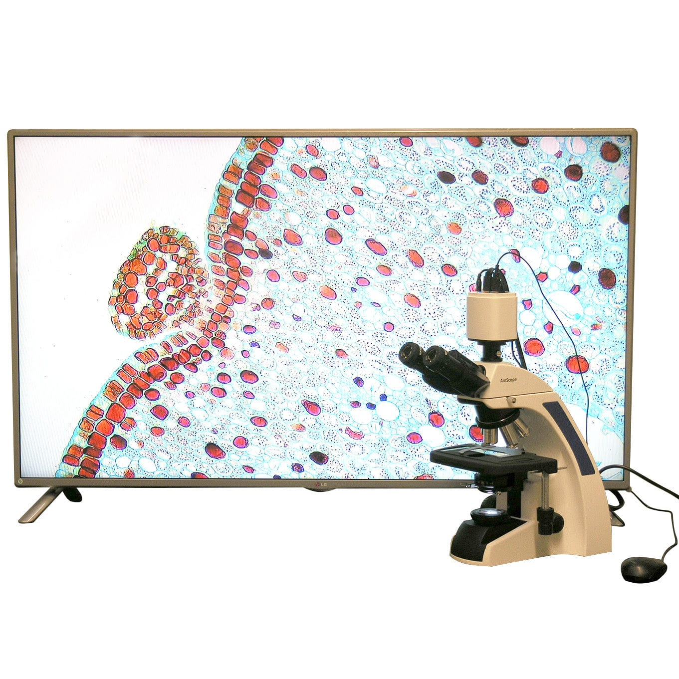 amscope-t720qc-hd18-durchlichtmikroskop-trinokular-2500x-kamera image 1