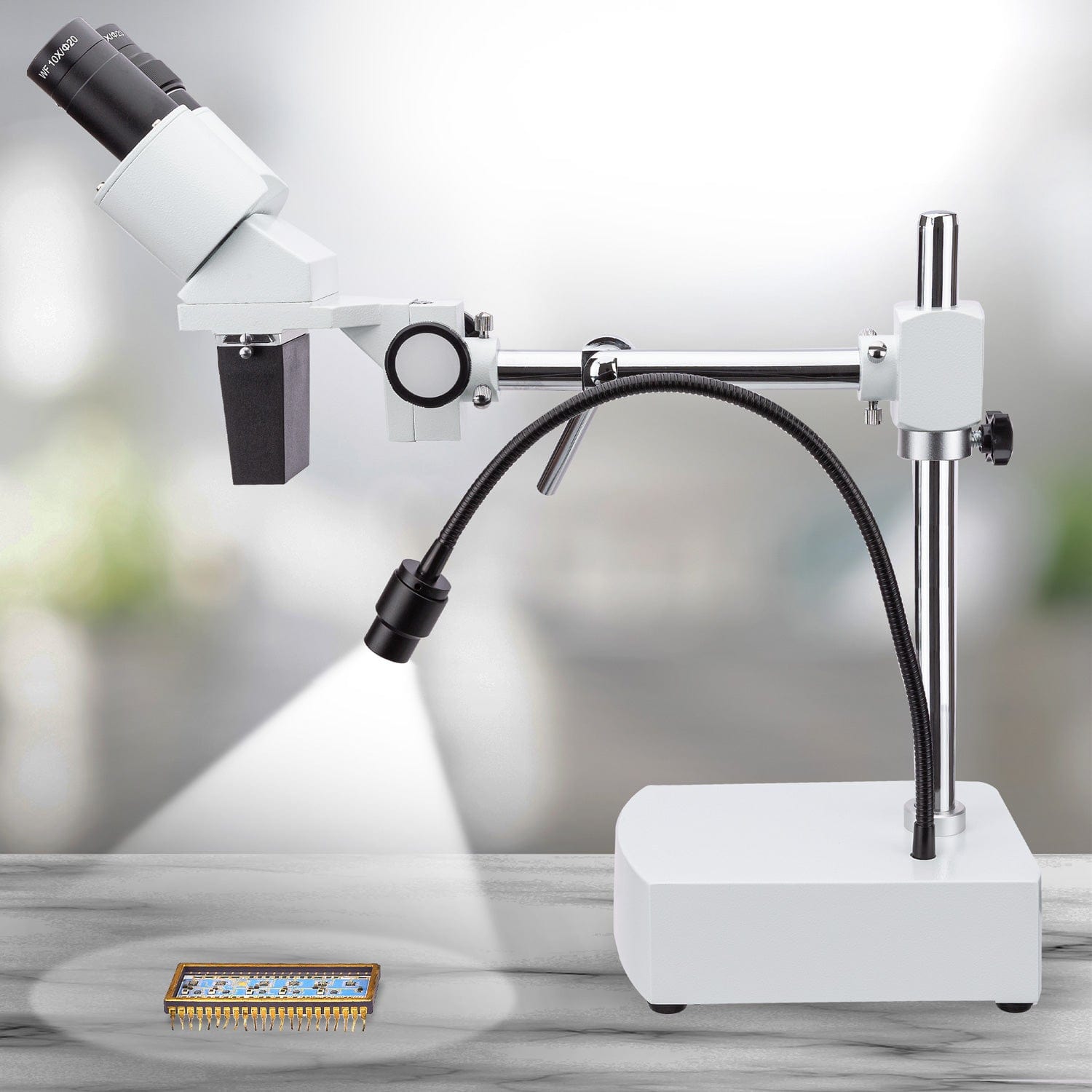 amscope-se400-led-stereomikroskop-10x-schwenkarm image 4