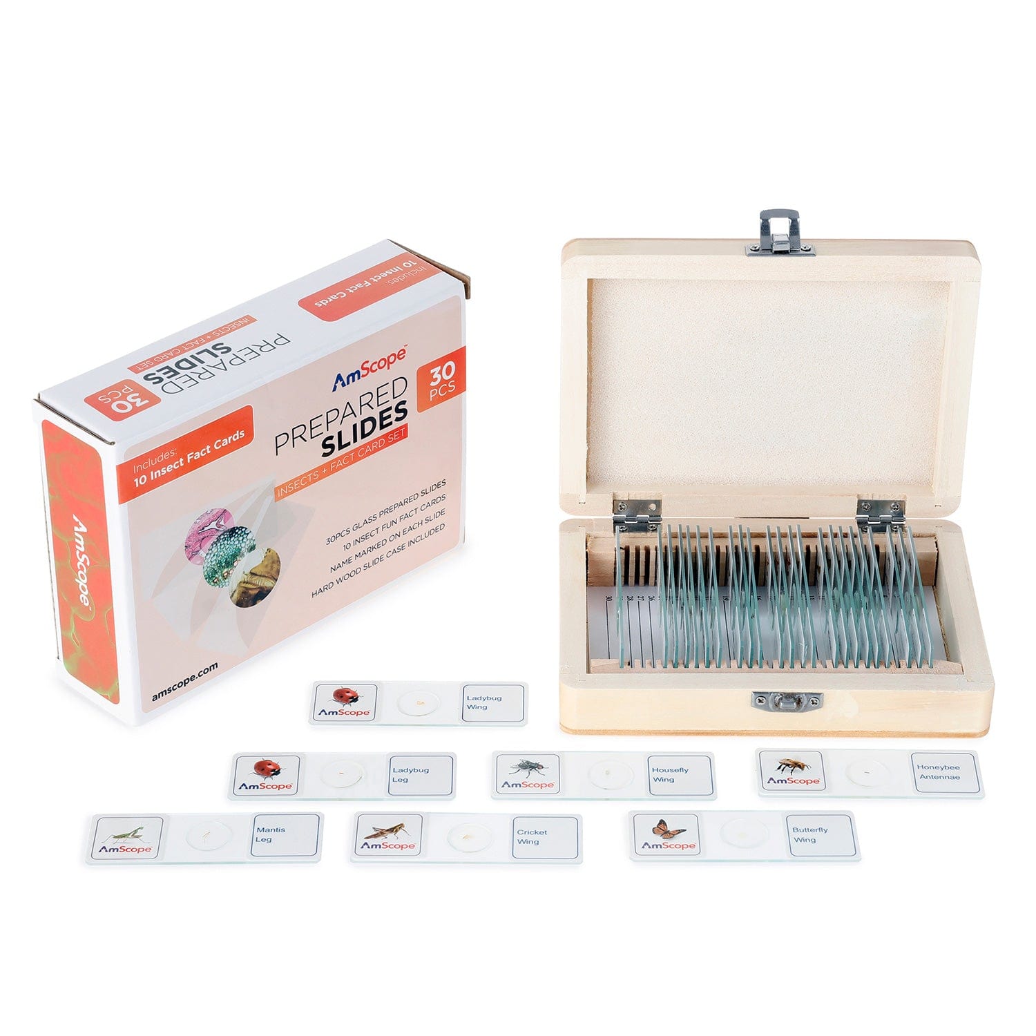 amscope-accessories-ps-inst-objekttr-ger-insekten-30-st-ck-glas image 3