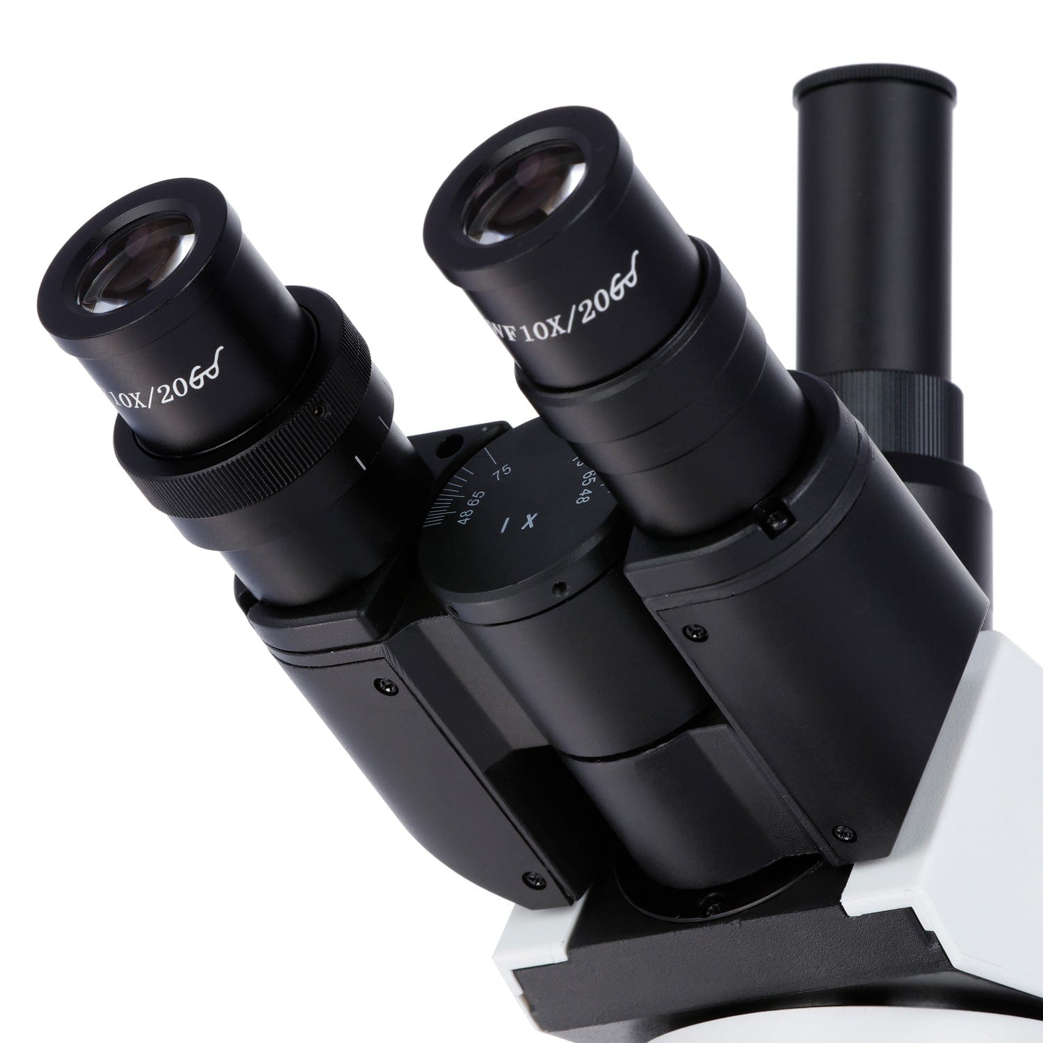 amscope-t660b-pl-trinokular-labormikroskop-2000x-plan-achromat image 5