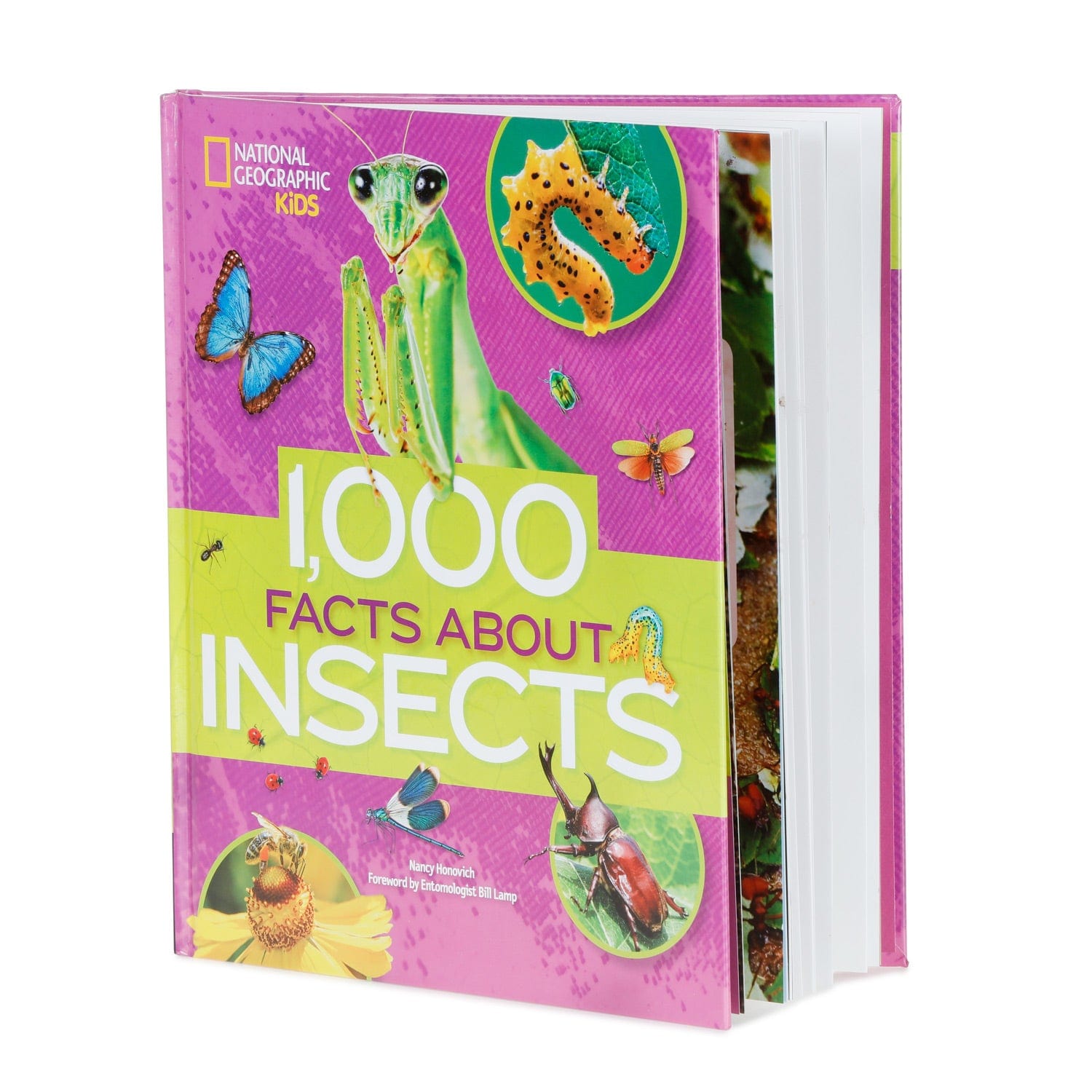 amscope-bk-1000i-insekten-buch-1000-fakten-national-geographic image 5