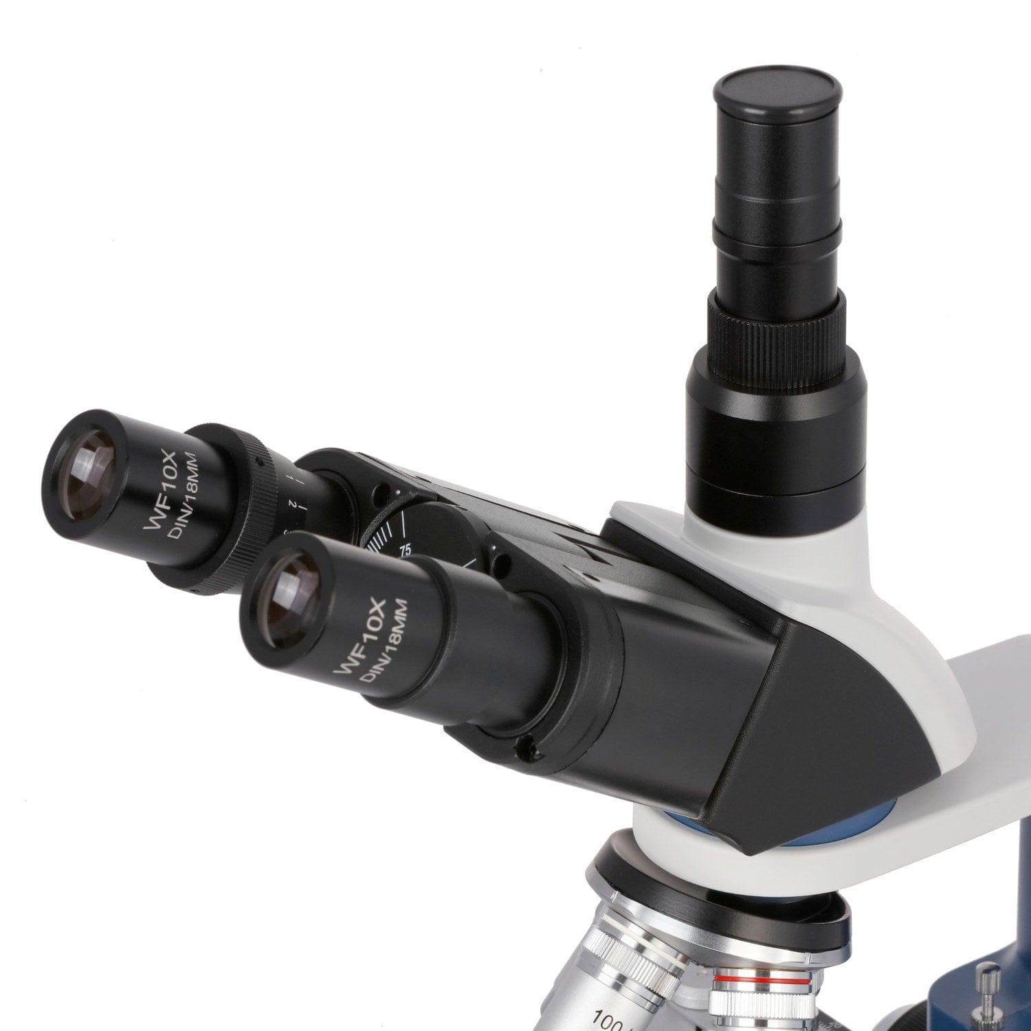 amscope-t120c-r-compound-mikroskop-2500x-trinokular-usb-c image 7