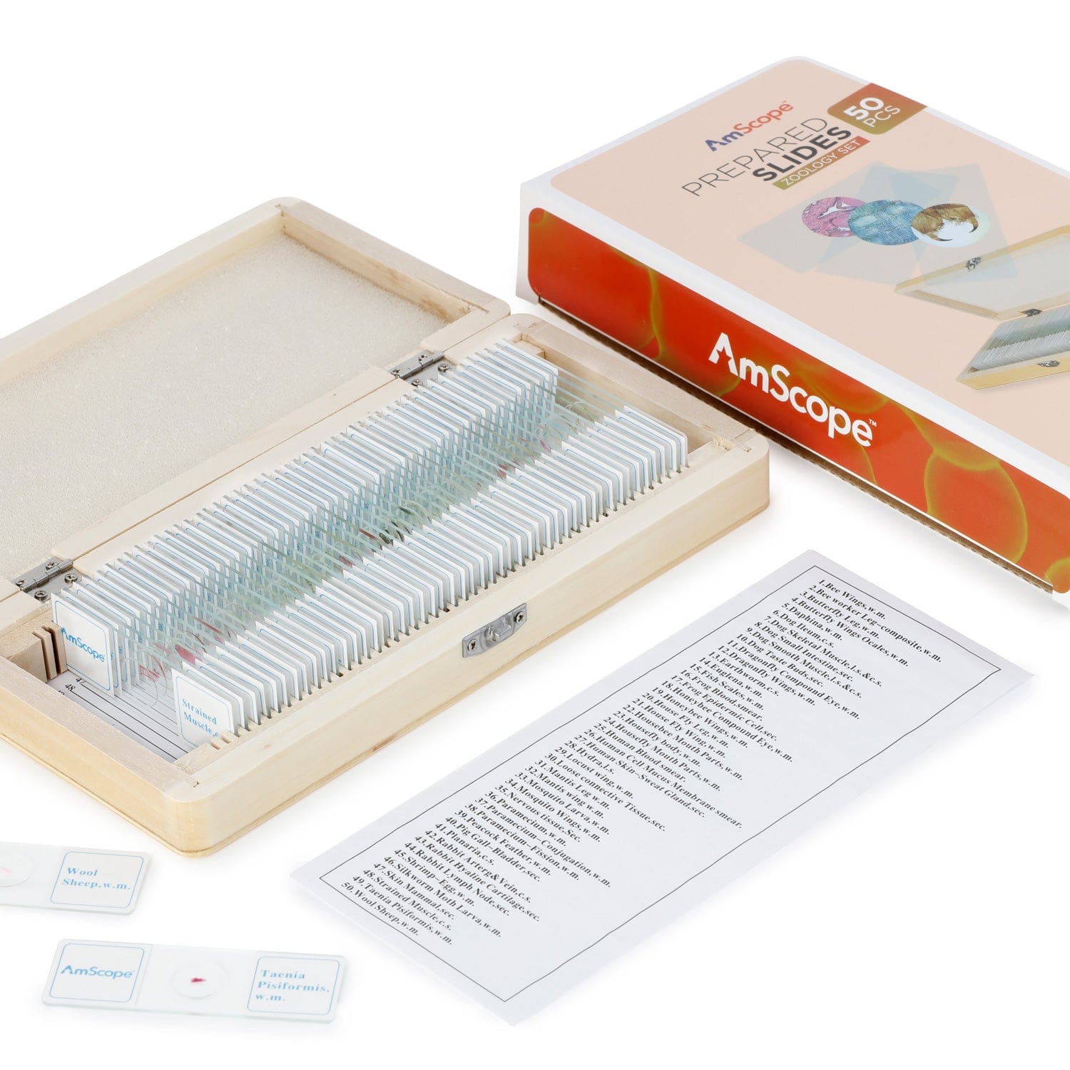 amscope-kvb-fos-140-dis-kinder-mikroskop-fossilien-set-50-slides image 4