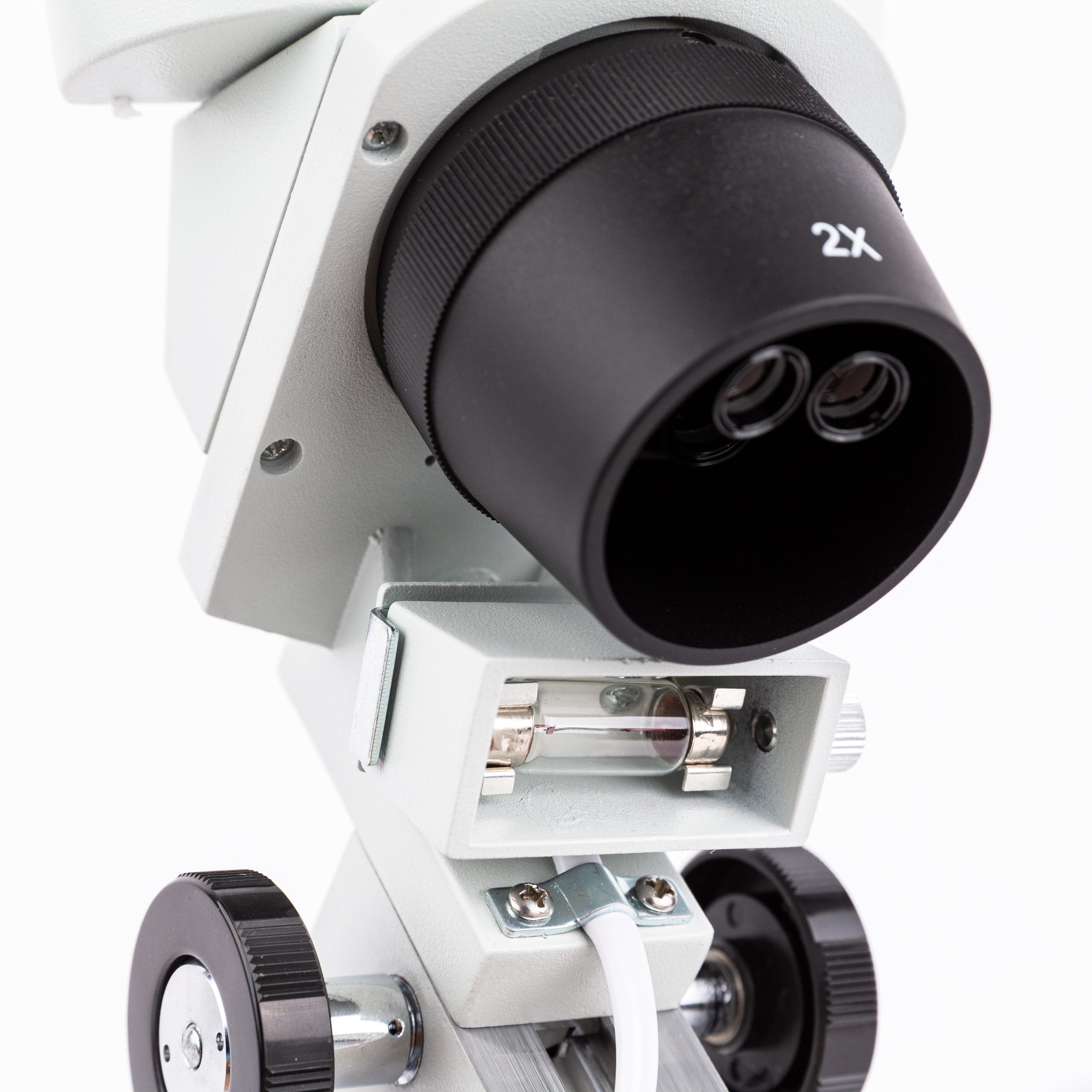 amscope-se306r-pz-stereomikroskop-20x-40x-80x-auf-durchlicht image 3