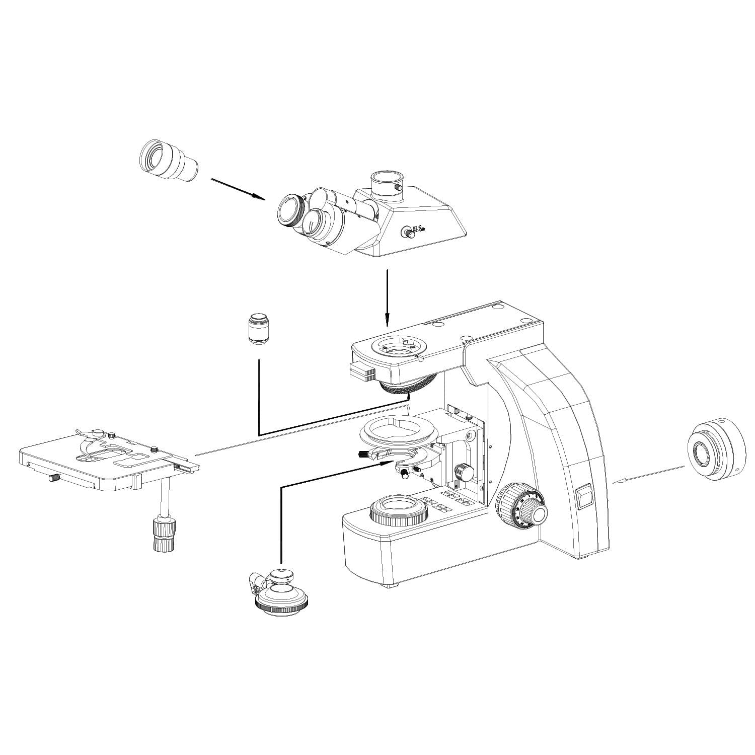 amscope-t800-durchlichtmikroskop-1000x-trinokular-led image 3