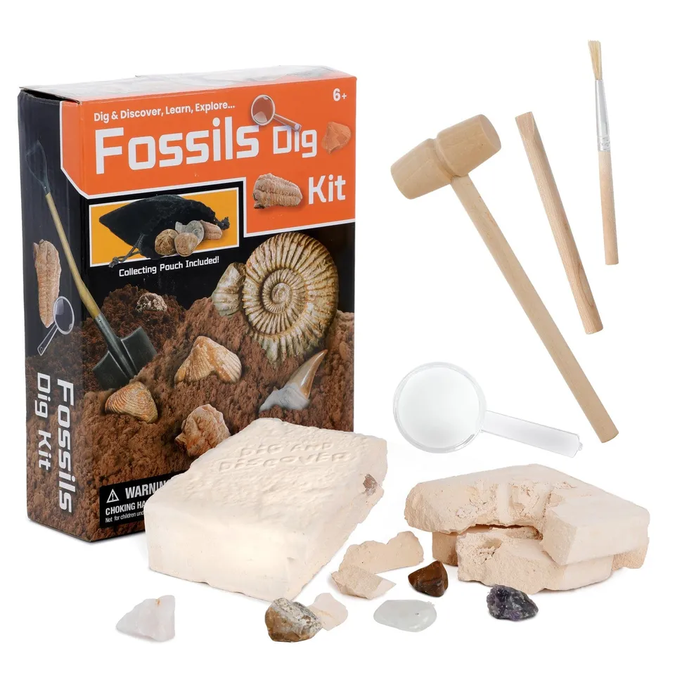 amscope-kt-fdig-fossilien-ausgrabungsset-kinder-arch-ologie image 1