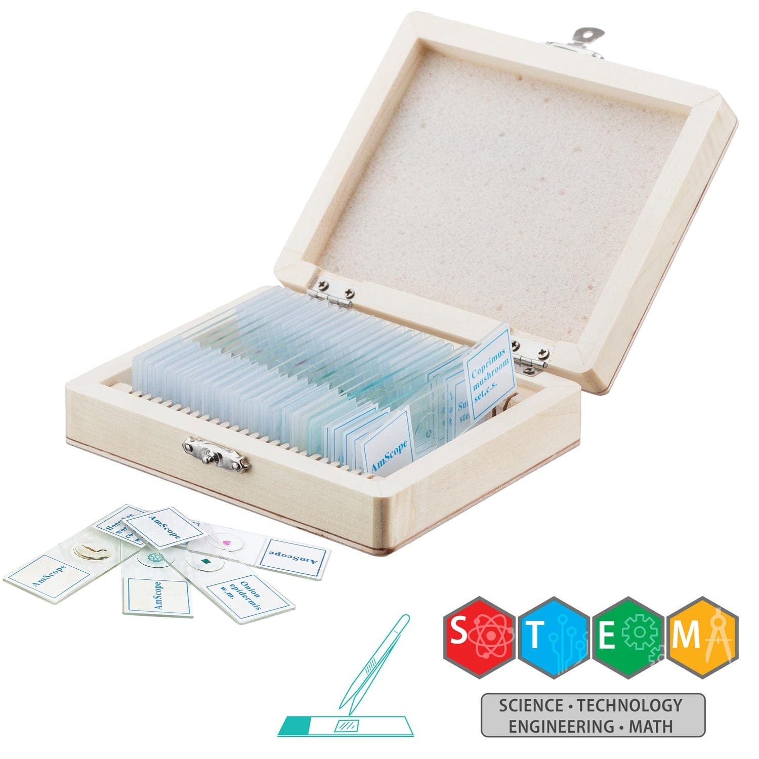 amscope-m40-ps25w-sch-lermikroskop-80x-800x-led-set image 3