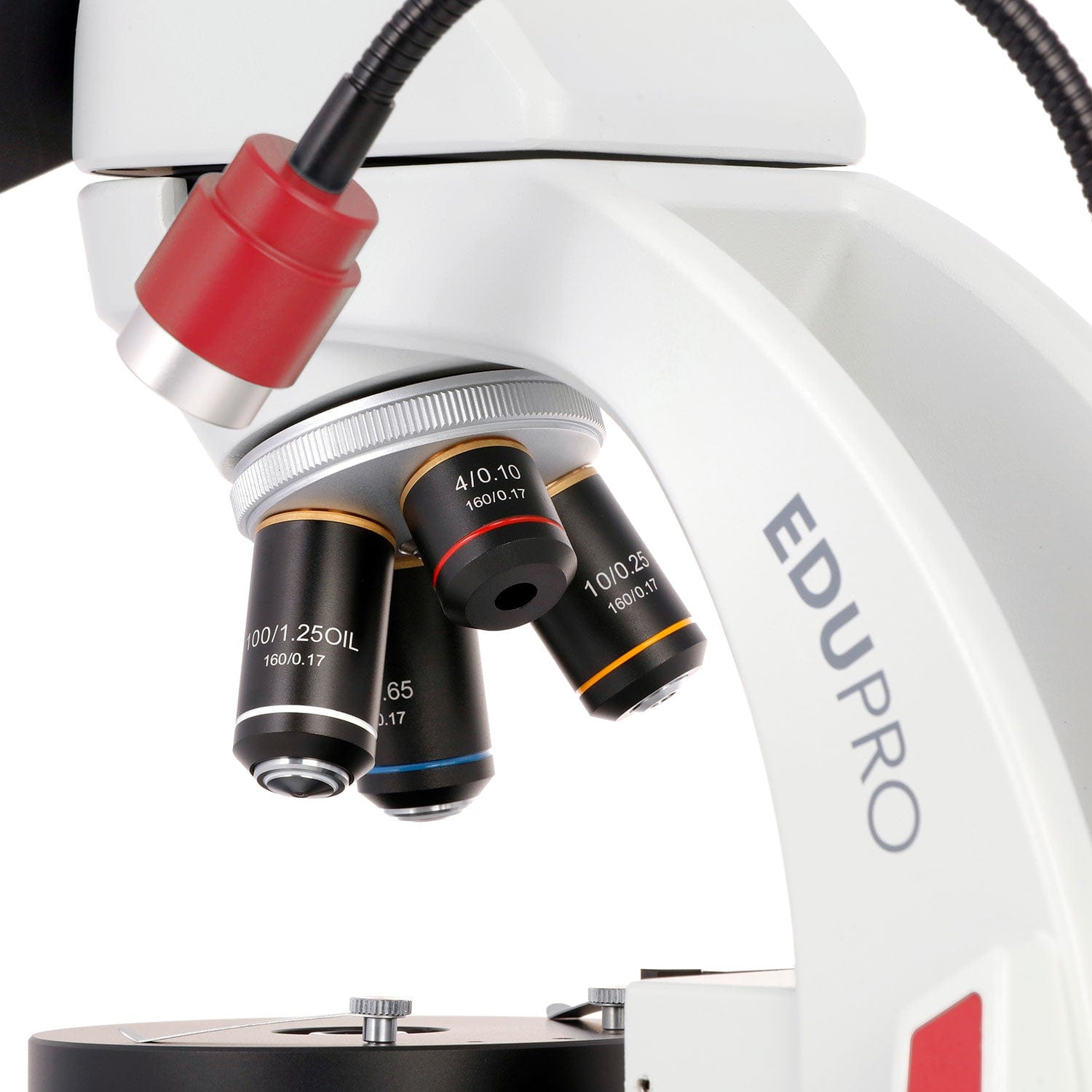 amscope-edu552b-binokular-durchlichtmikroskop-1000x-led image 7