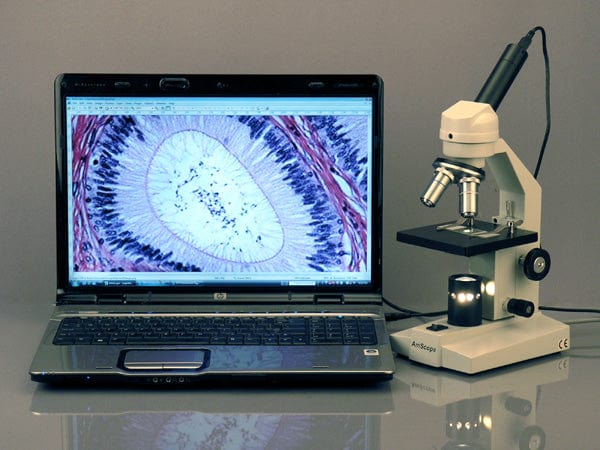 amscope-m200a-led-sch-lermikroskop-monokular-640x-akku-led image 6