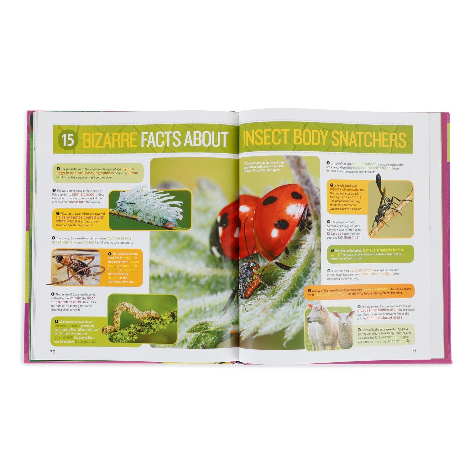 amscope-bk-1000i-insekten-buch-1000-fakten-national-geographic image 3