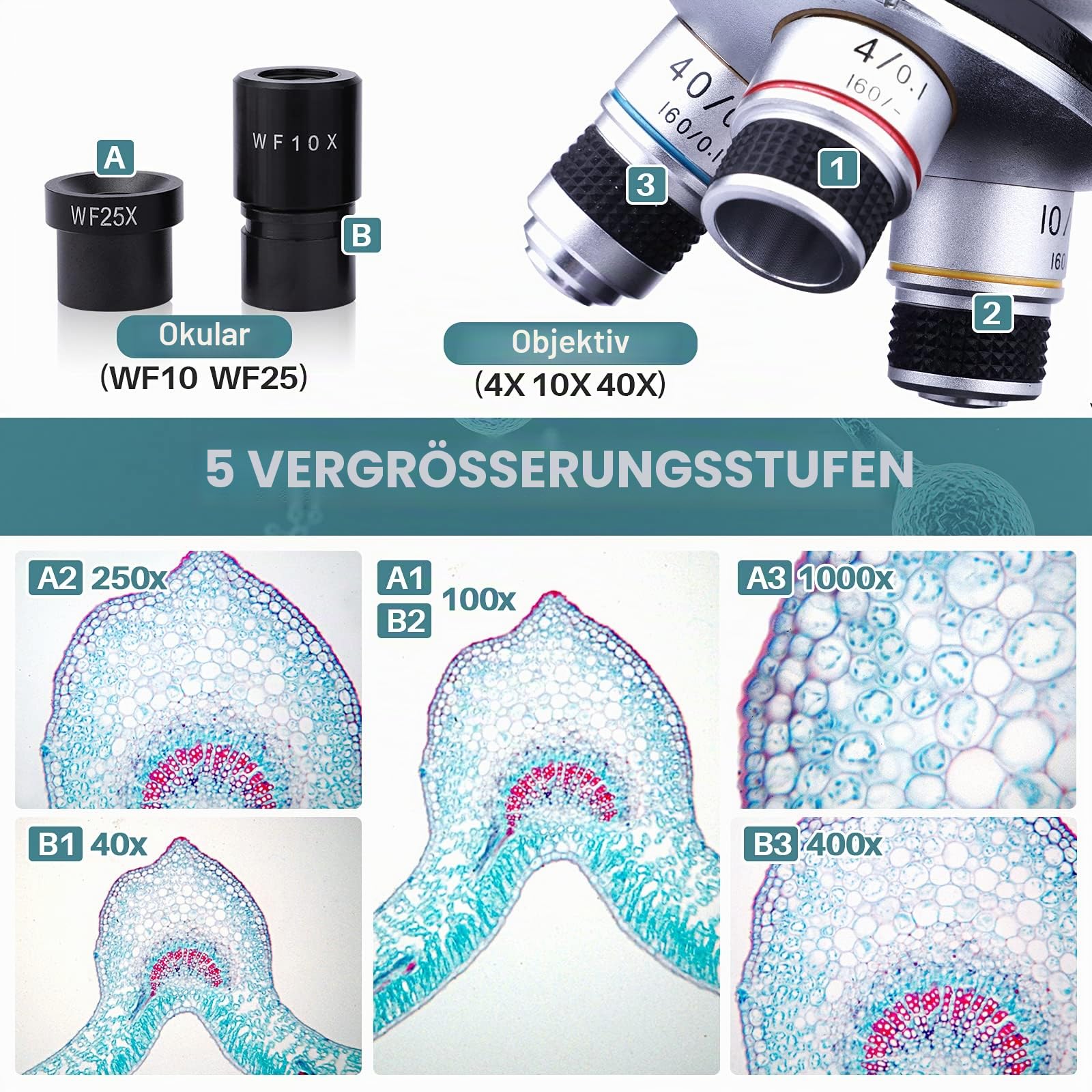 maxlapter-microscope-binokular-mikroskop-40x-1000x-led image 3