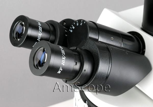 amscope-fm800-fluoreszenzmikroskop-trinokular-40x-400x-20mp image 8