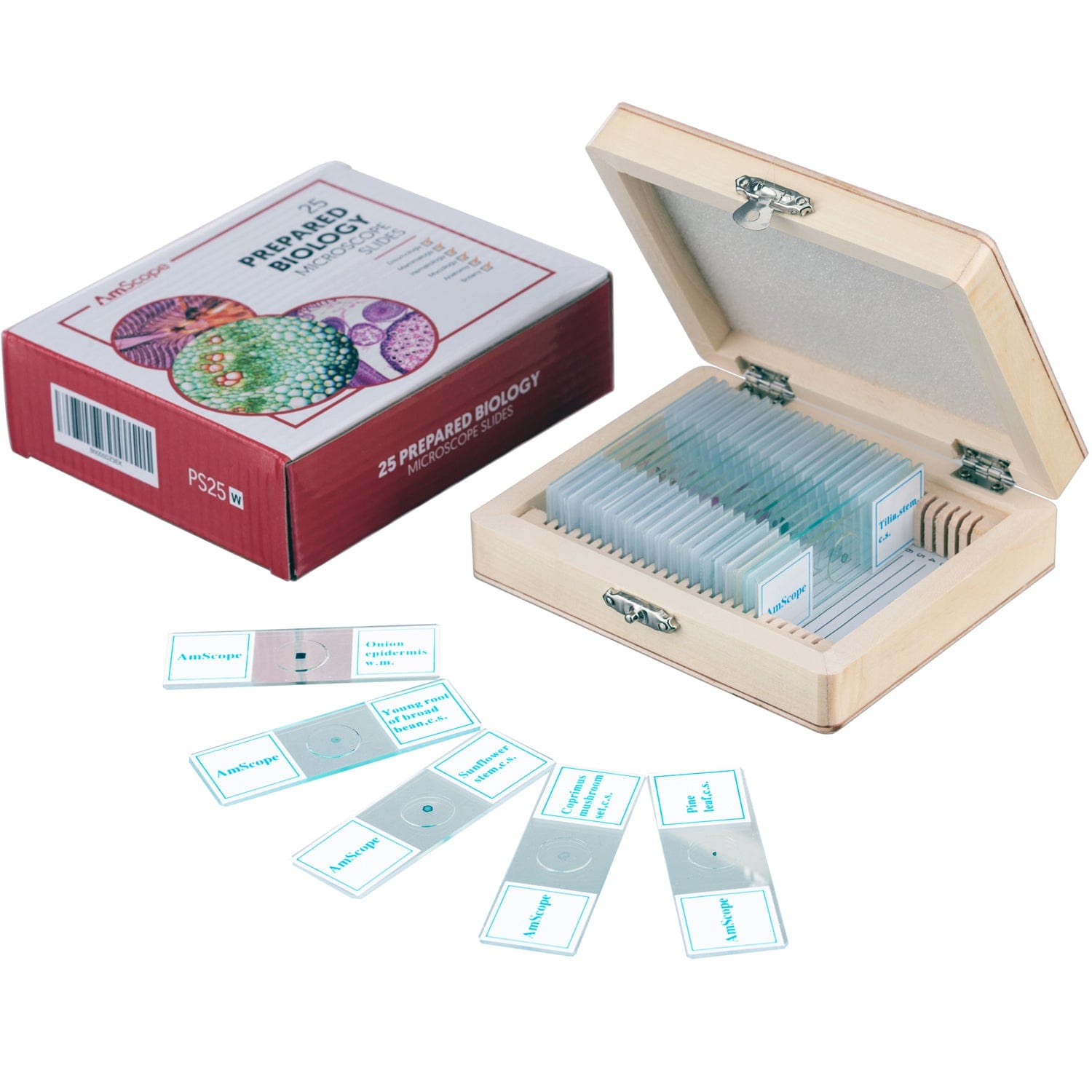 amscope-vb-m158c-sch-lermikroskop-1000x-wlan-2mp-kamera-set image 5