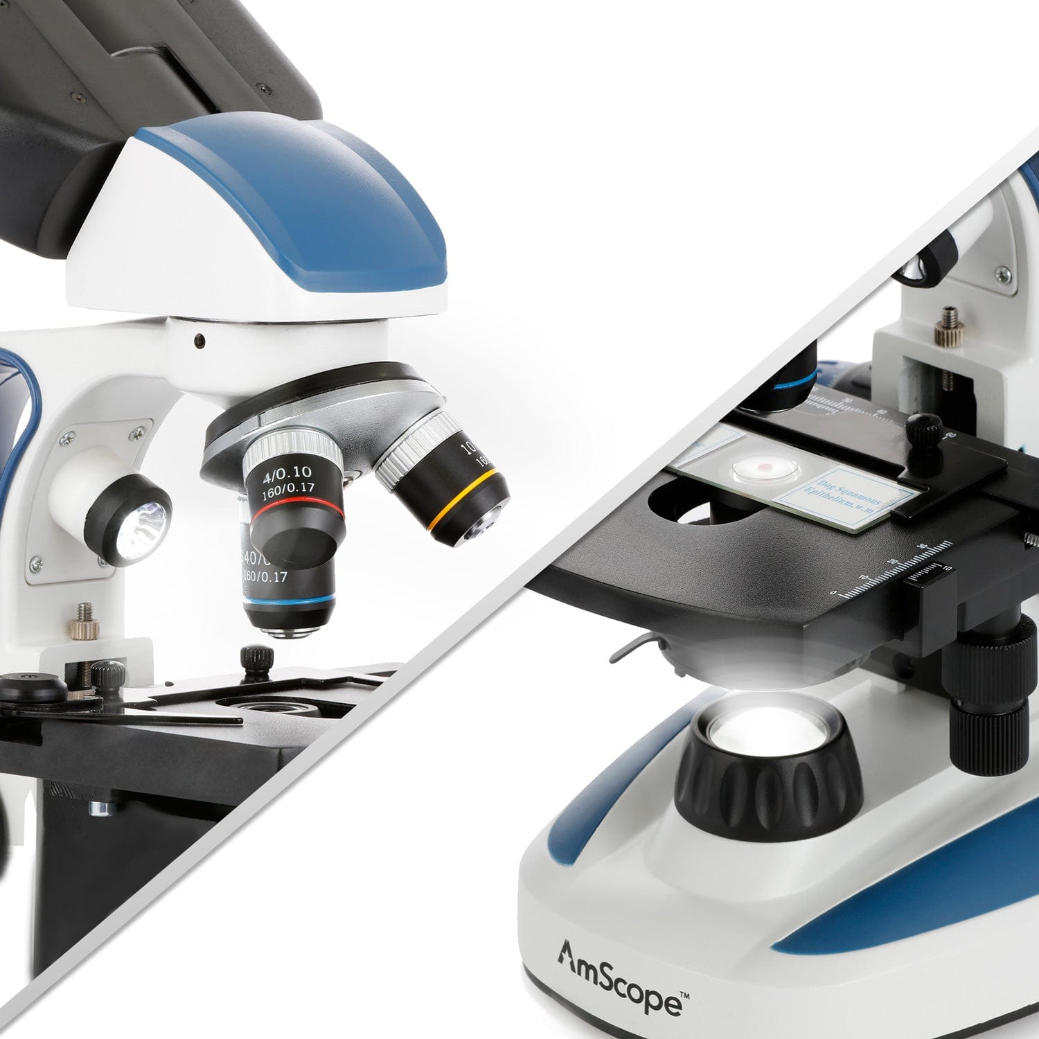 amscope-b110c-binokulares-biologiemikroskop-1000x-led-durchlicht image 4