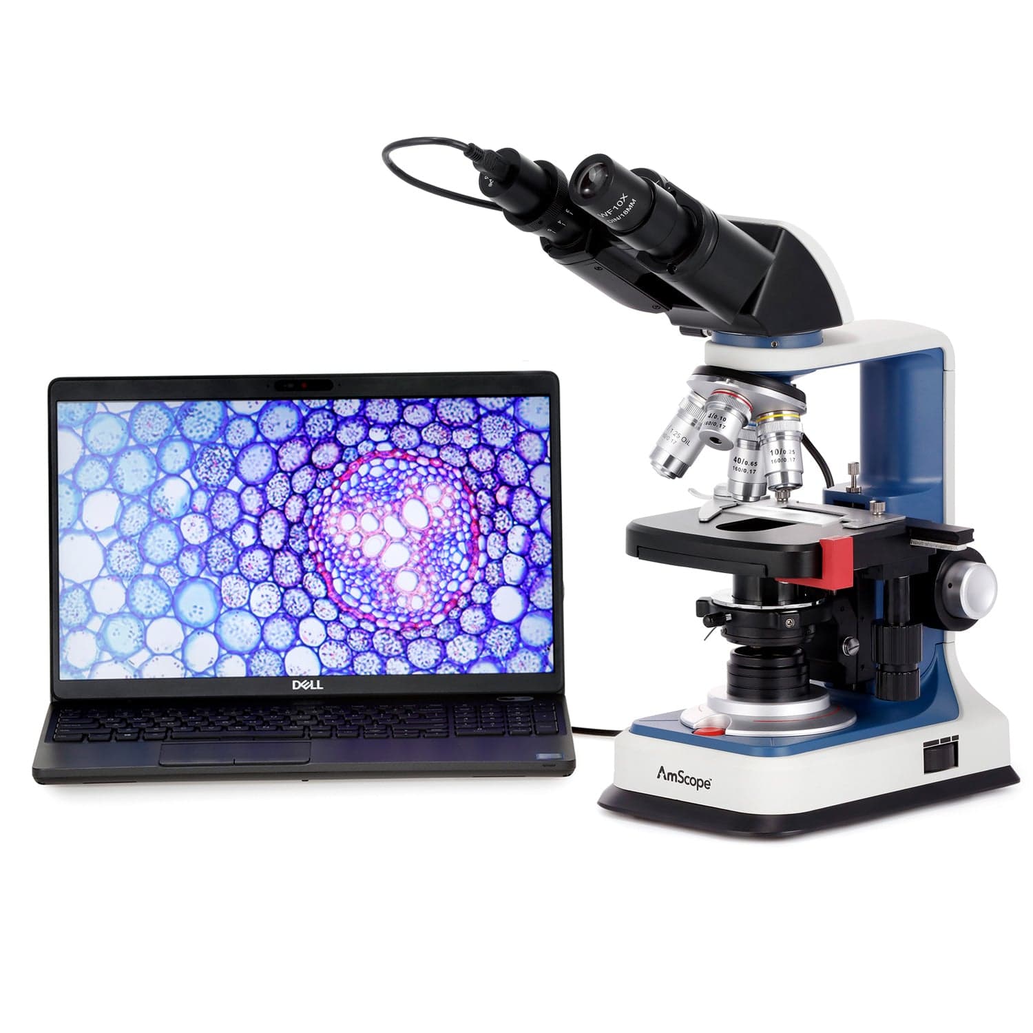 amscope-b120c-r-mikroskop-40x-2500x-usb-c-akku image 7