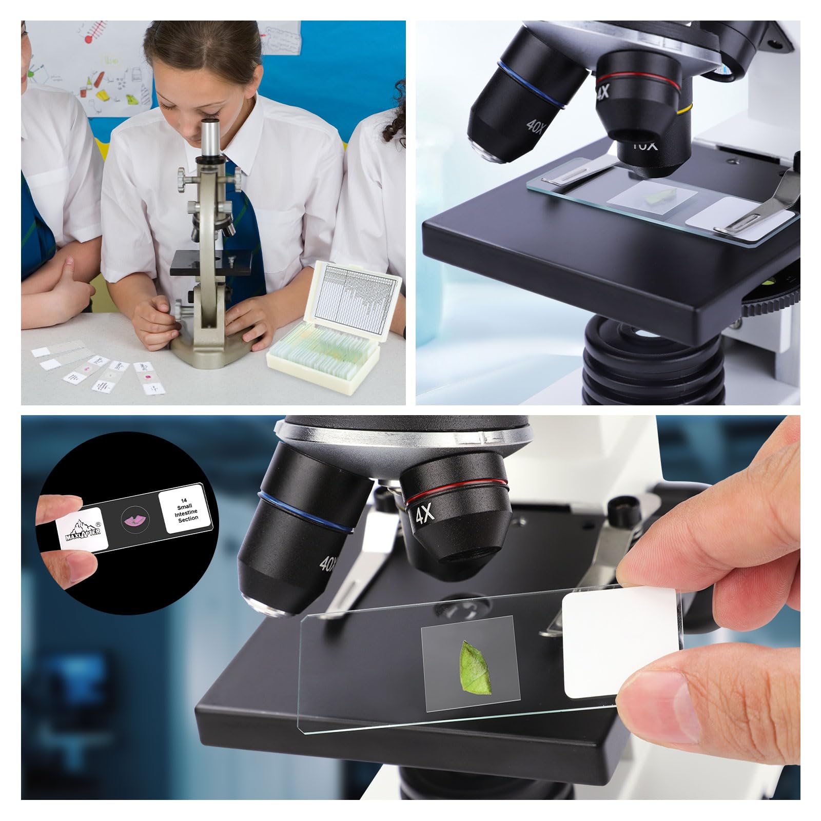 maxlapter-objekttr-ger-set-30tlg-100-deckgl-ser-glas image 6