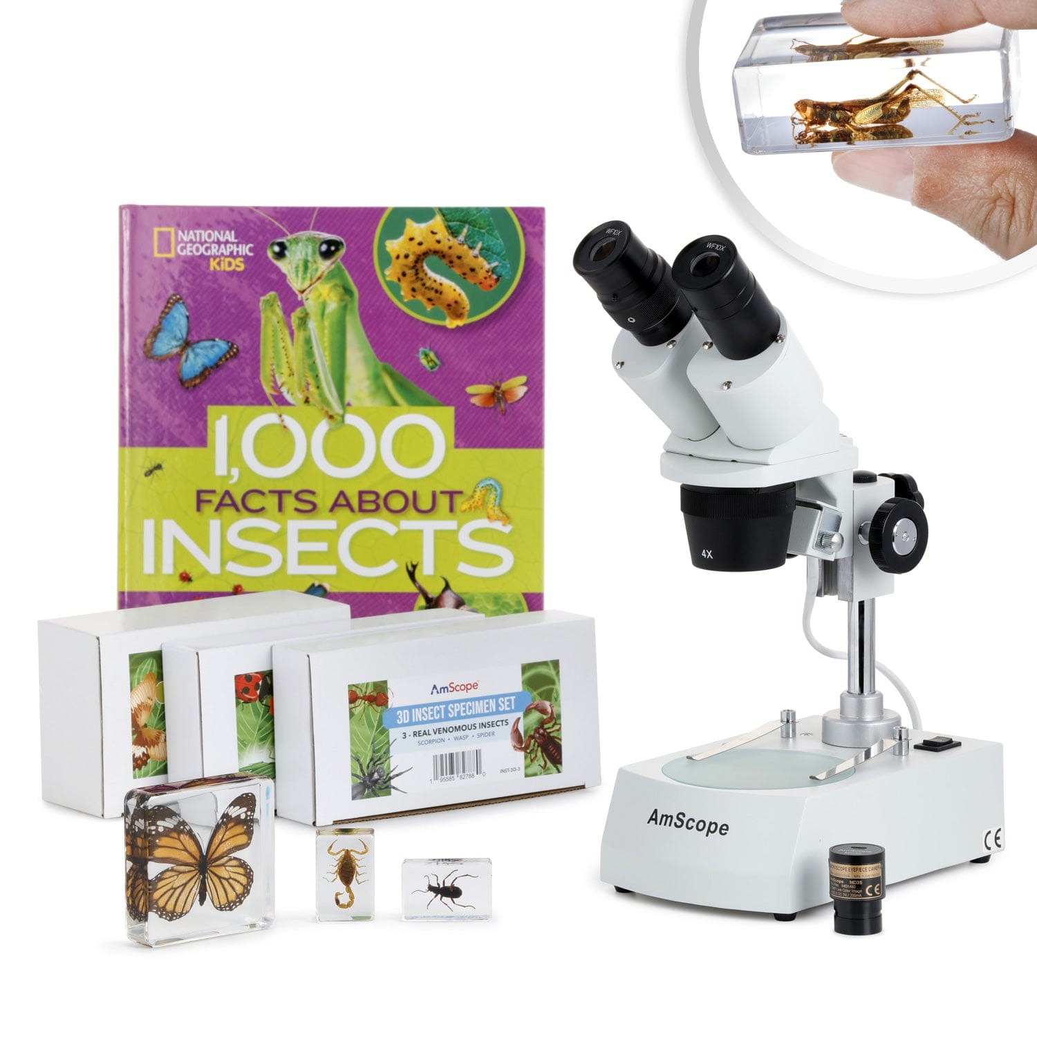 amscope-se306-sch-lermikroskop-20x-40x-insekten-set-9tlg image 2