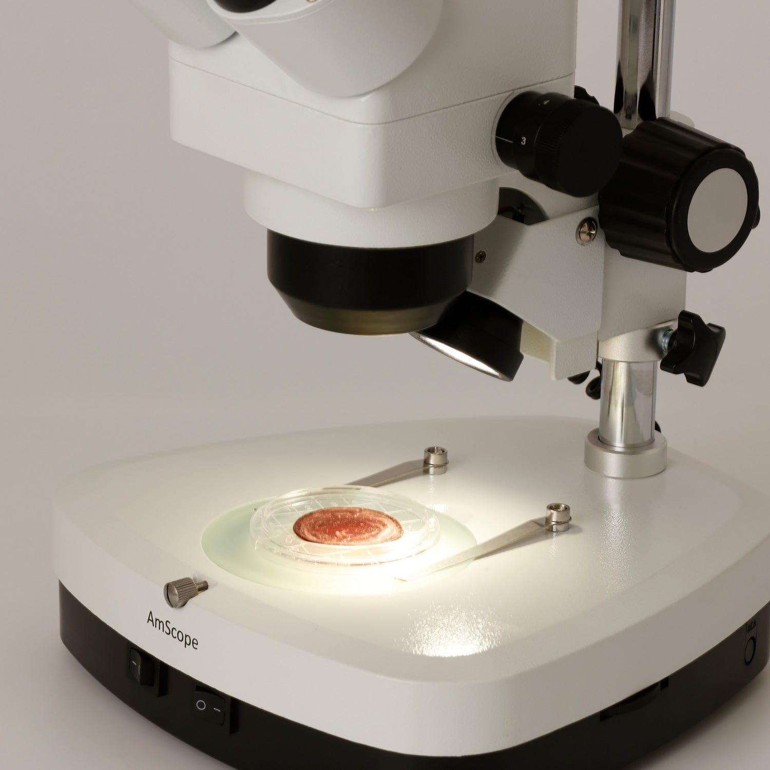 amscope-sh-2t-c2-stereomikroskop-trinokular-10x-40x-s-ule image 3