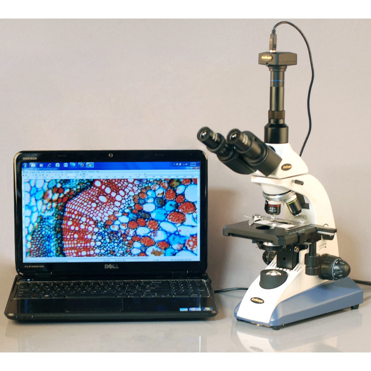 amscope-t520b-durchlichtmikroskop-2000x-trinokular-kreuztisch image 6