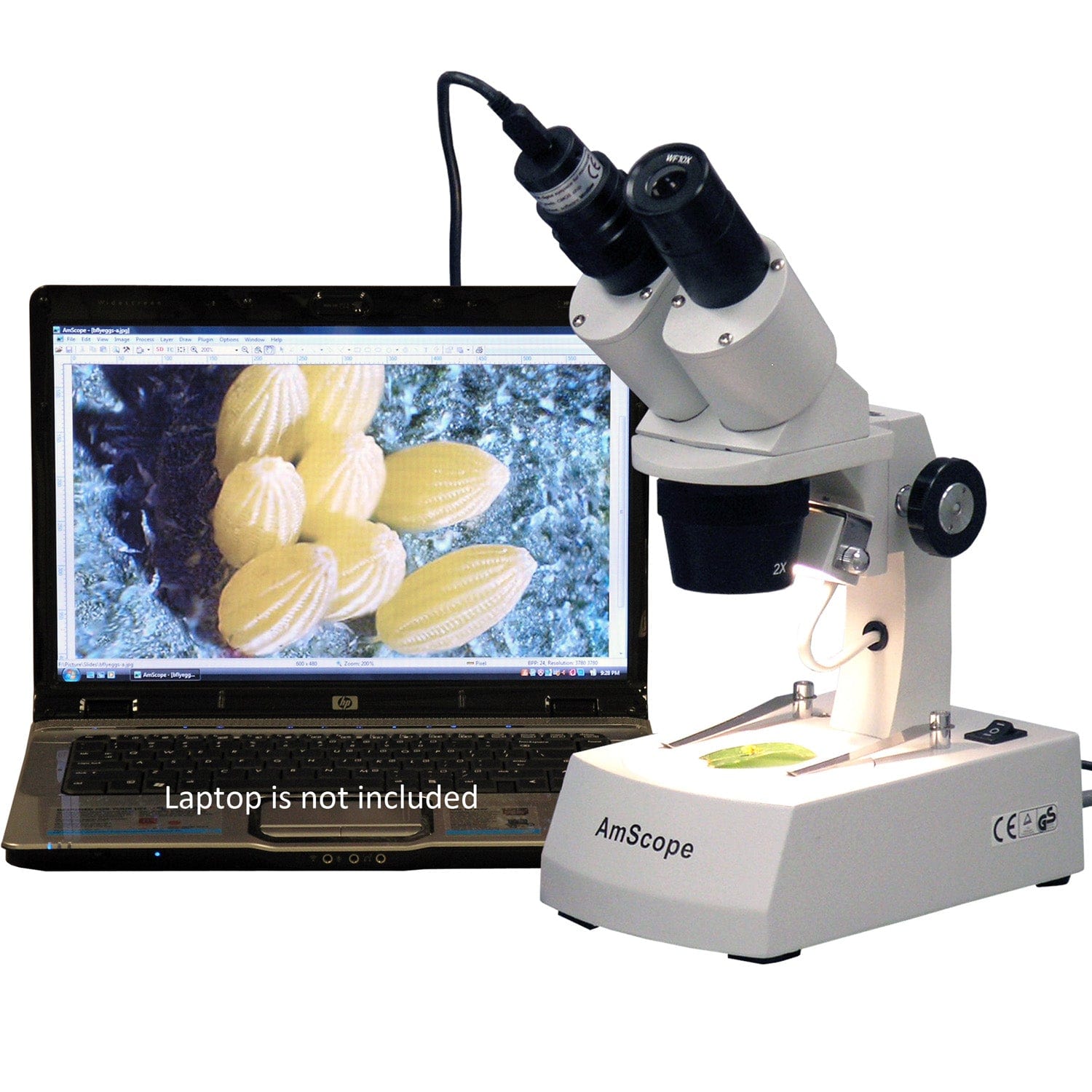 amscope-se305r-az-e1-stereomikroskop-mit-1mp-usb-kamera-10x-60x image 5