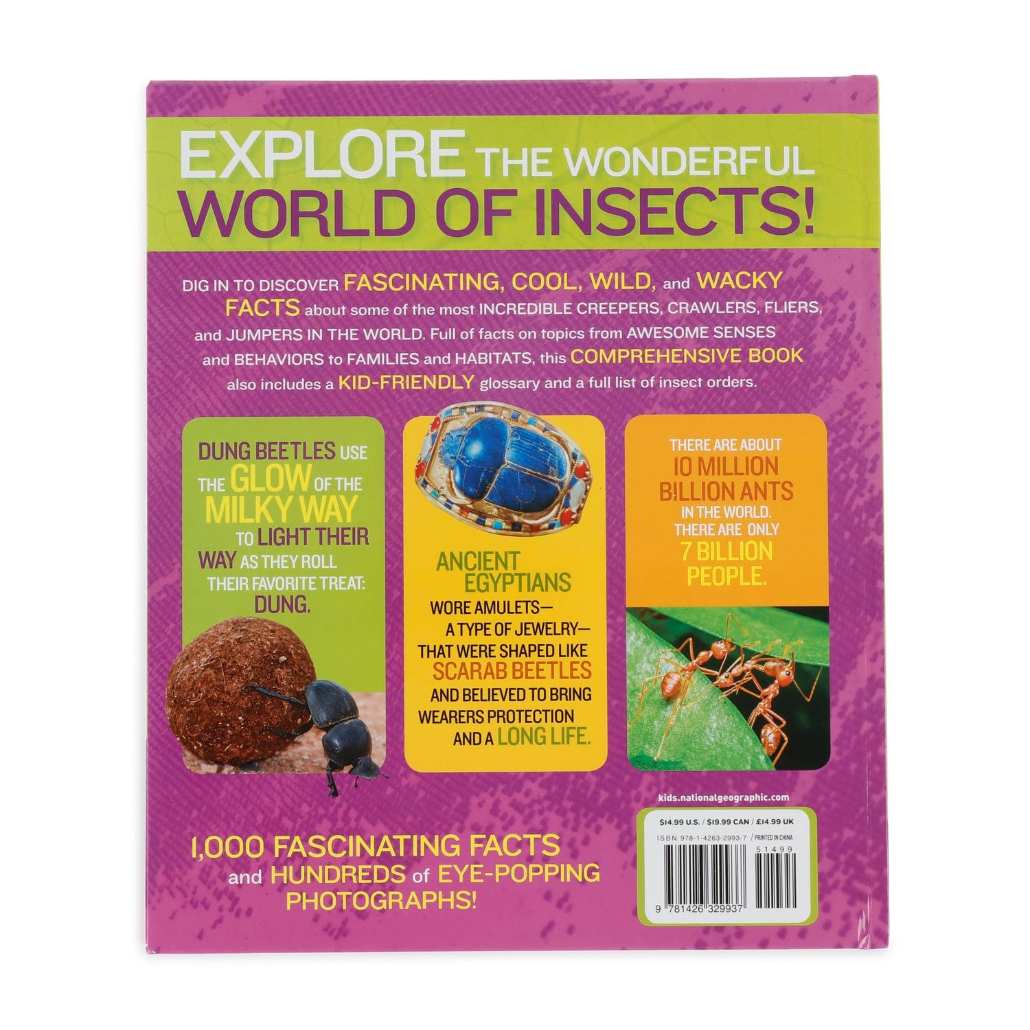 amscope-bk-1000i-insekten-buch-1000-fakten-national-geographic image 2